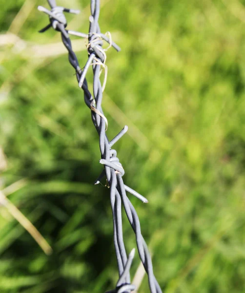 Close Arame Farpado Uma Cerca Campo — Fotografia de Stock