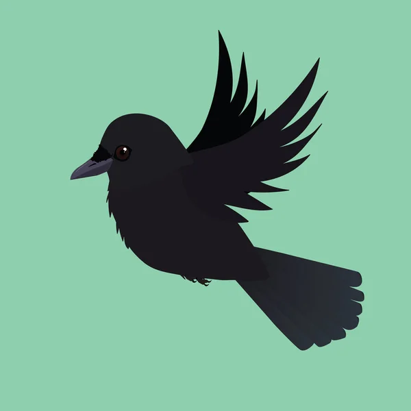 Flying Crow Illustration Cut Out Green Background — Vector de stock