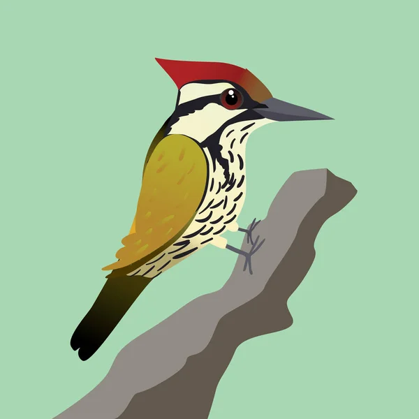 Ilustración Vectorial Pájaro Carpintero Dorso Común Tronco Árbol Con Fondo — Vector de stock