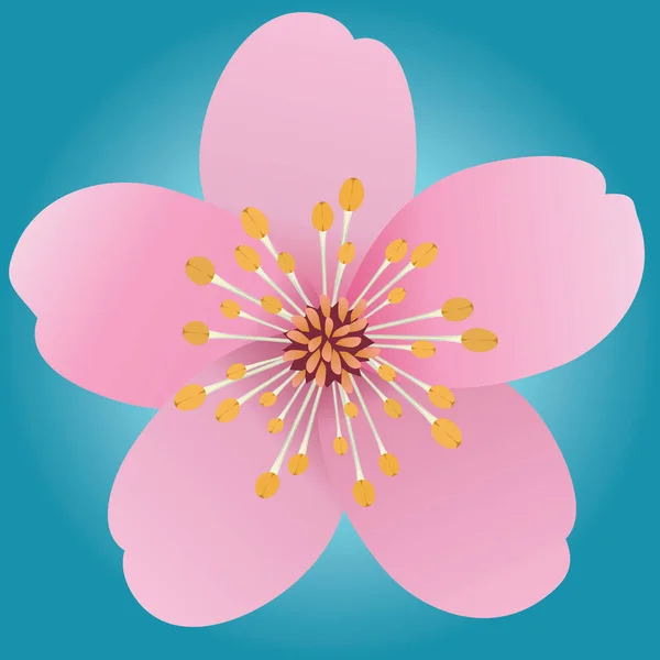 5枚の花弁を持つピンクの花 桜や桜をベースにしています 背景はターコイズのグラデーション — ストックベクタ