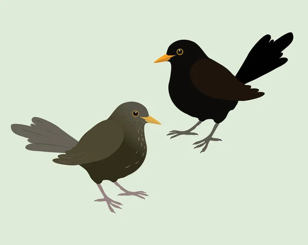Ілюстрація Двох Чорних Птахів Чоловічий Жіночий Птах Фон Блідо Зелений — стоковий вектор