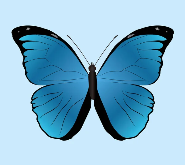 Morpho Menelaus Papillon Ménélas Bleu Morpho Sur Fond Bleu Clair — Image vectorielle