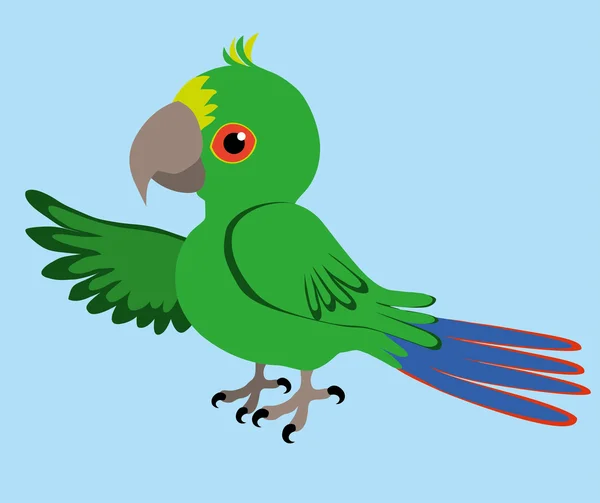 Papoušek — Stockový vektor