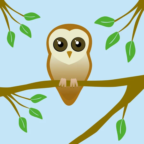 Cute barn owl — Stock Vector