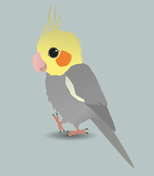 Mignon cockatiel dessin animé — Image vectorielle