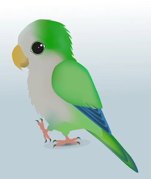 Lindo loro verde — Vector de stock