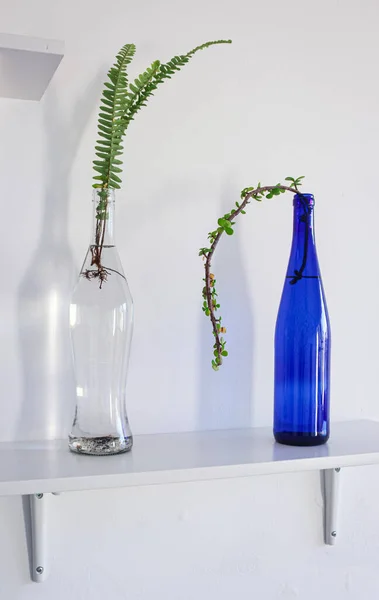 Interieur Bloemen Water Glazen Flessen — Stockfoto