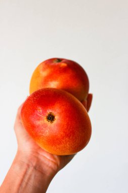 İki sulu mango elde 