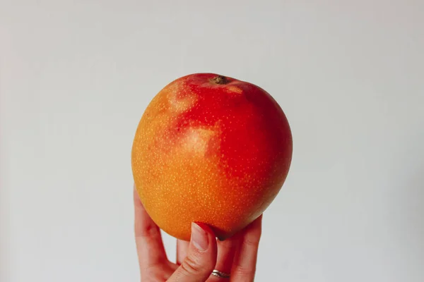 Reife Mango Der Hand Auf Weißem Hintergrund — Stockfoto