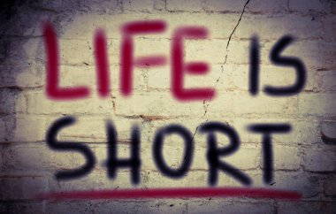 Hayat kısa bir kavramdır