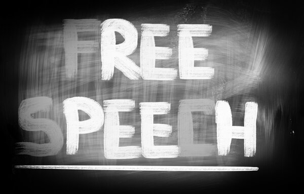 Концепция свободы слова
