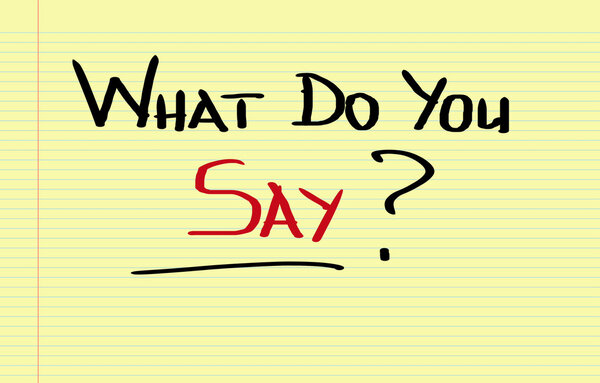 What Do You Say Concept