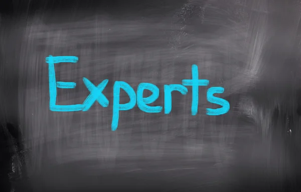 Experts Concept - Color Image — Stock Photo, Image