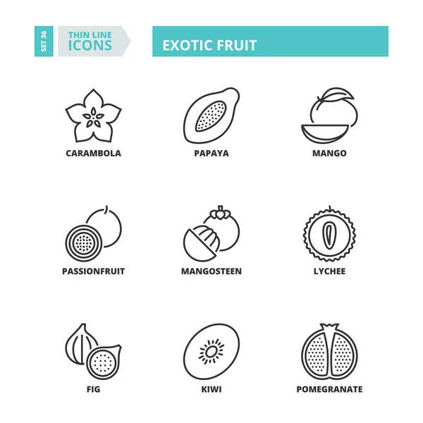 Icone a righe sottili. Frutta esotica — Vettoriale Stock