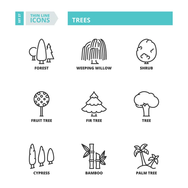 Thin line icons. Trees Vector Graphics