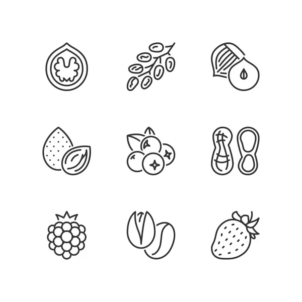 Iconos de línea. Frutos secos y bayas. Símbolos planos — Vector de stock