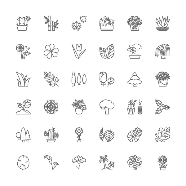 Line icons. Flowers, plants and trees Royalty Free Stock Vectors
