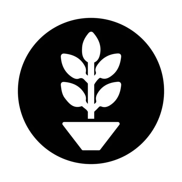 Ökológia Növény Természetes Természet Növényi Ikon Fekete Design — Stock Fotó