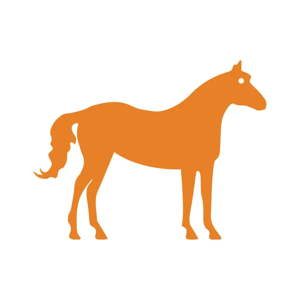 Horse Animal Mustang Race Icon Orange Design — Stock Photo, Image