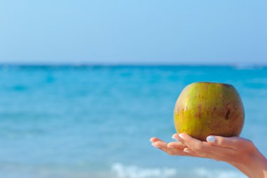 Hindistan cevizi deniz arka planda tutan eller