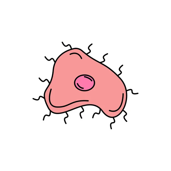 Bacteria Coccus Science Line Icon Elemento Los Iconos Ilustración Del — Vector de stock