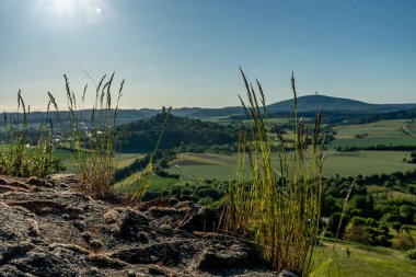 Ortaçağ şatosundan Vetzberg Kalesi manzarası. Yazın Gleiberg harabesi. Ön planda çimen bitkileri var.