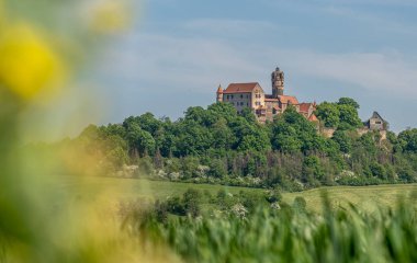Ronneburg Kalesi manzaralı, yeşil önplanlı Almanya