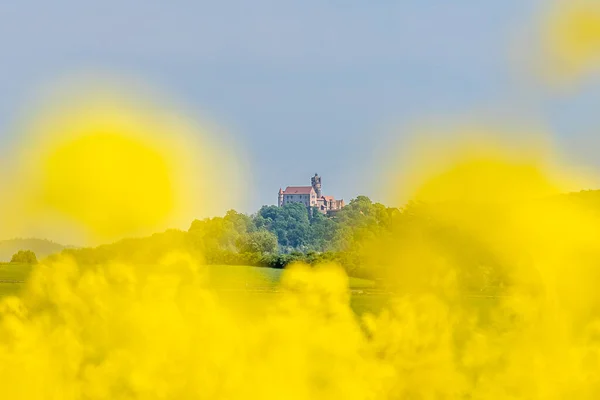 Vista Sobre Castelo Ronneburg Hesse Alemanha Com Primeiro Plano Verde — Fotografia de Stock