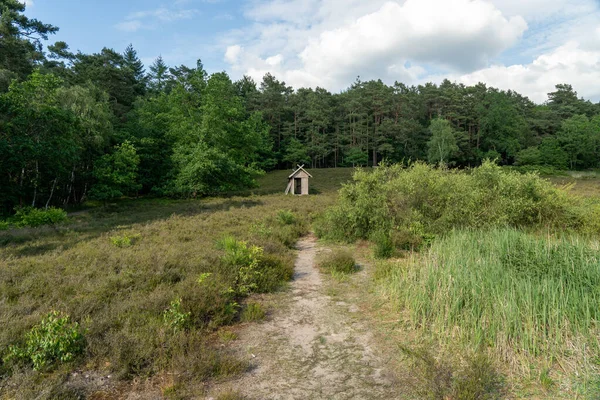 beautiful hillside landscape in the nature preservation area of the lueneburger heide, germany