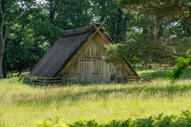 Alman bataklık koyunlarının doğal koruma alanındaki saman çatılı karakteristik ahırı Lueneburger Heide, Almanya