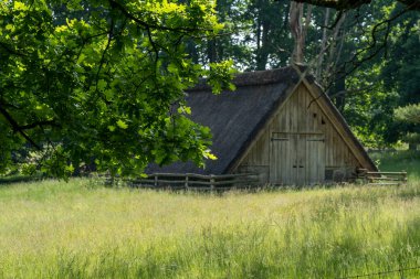 Alman bataklık koyunlarının doğal koruma alanındaki saman çatılı karakteristik ahırı Lueneburger Heide, Almanya