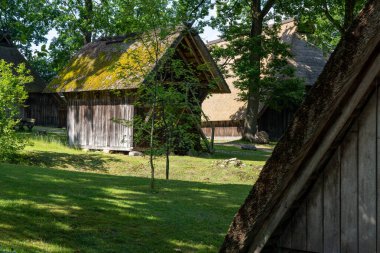 Alman bataklık koyunlarının doğal koruma alanındaki saman çatılı karakteristik ahırı Lueneburger Heide, Almanya