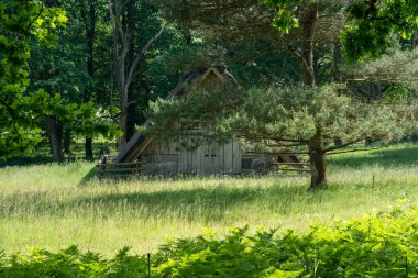 Alman bataklık koyunlarının doğal koruma alanındaki saman çatılı karakteristik ahırı Lueneburger Heide, Almanya