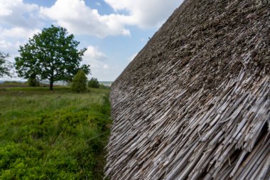 Alman bataklık koyunlarının doğal koruma alanındaki saman çatılı karakteristik ahırı Lueneburger Heide, Almanya