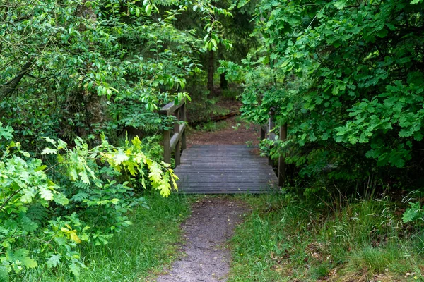 Hermoso Paisaje Ladera Área Preservación Naturaleza Lueneburger Heide Alemania — Foto de Stock