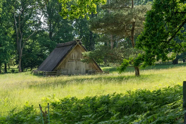 Alman bataklık koyunlarının doğal koruma alanındaki saman çatılı karakteristik ahırı Lueneburger Heide, Almanya