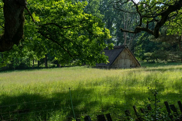 Alman bataklık koyunlarının doğal koruma alanındaki saman çatılı karakteristik ahırı Lueneburger Heide, Almanya