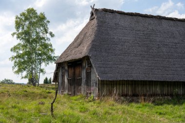Alman bataklık koyunlarının doğal koruma alanındaki saman çatılı karakteristik ahırı Lueneburger Heide, Almanya
