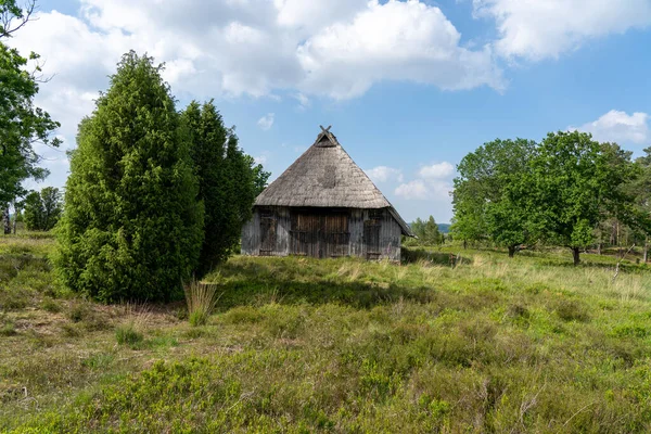 Karakteristisk Stabil För Tyska Hedar Får Med Ett Halmtak Naturreservatet — Stockfoto