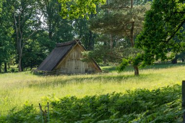 Alman bataklık koyunlarının doğal koruma alanındaki saman çatılı karakteristik ahırı Lueneburger Heide, Almanya