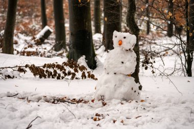 Taunus ormanında şehir kardan adamı, Frankfurt 'ta kış.
