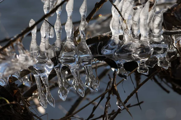 Light reflected through icicles at a river in winter time, frankfurt, hesse, germany