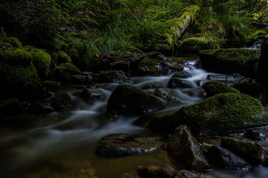 Kara Orman 'ın alerheilijen şelaleleri (Schwarzwald), Baden-Wuerttemberg, Almanya