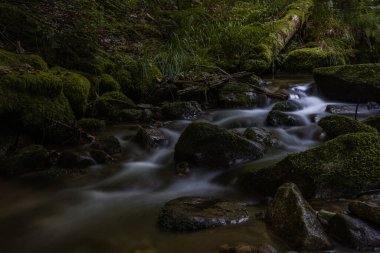 Kara Orman 'ın alerheilijen şelaleleri (Schwarzwald), Baden-Wuerttemberg, Almanya