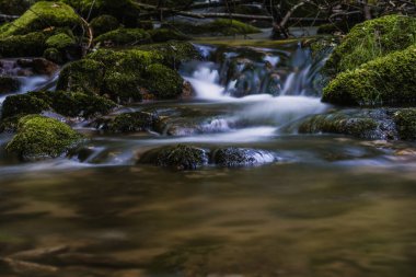Kara Orman 'ın alerheilijen şelaleleri (Schwarzwald), Baden-Wuerttemberg, Almanya