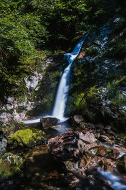 Kara Orman 'ın alerheilijen şelaleleri (Schwarzwald), Baden-Wuerttemberg, Almanya