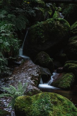 Gertelbach şelaleleri (Schwarzwald), Baden-Wuerttemberg, Almanya
