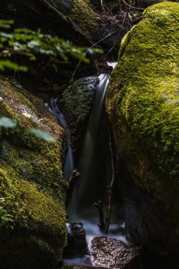Gertelbach şelaleleri (Schwarzwald), Baden-Wuerttemberg, Almanya