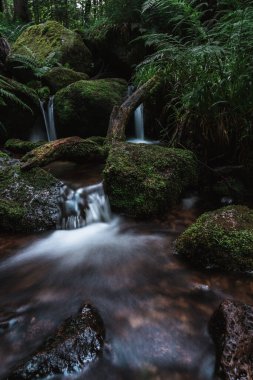 Gertelbach şelaleleri (Schwarzwald), Baden-Wuerttemberg, Almanya