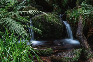 Gertelbach şelaleleri (Schwarzwald), Baden-Wuerttemberg, Almanya